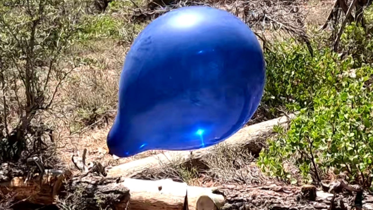 Playing Pop or Keep Game with 12 Navy Blue 18 Inch Balloons, 4K, Forest Balloon Play to Pop 43