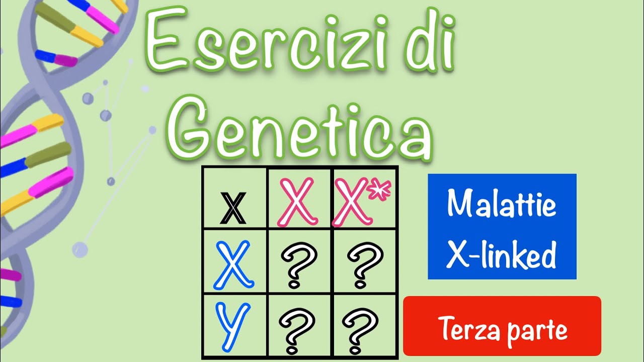 Esercizi di genetica - Malattie X-linked - leggi di Mendel e quadrato di Punnett  #3