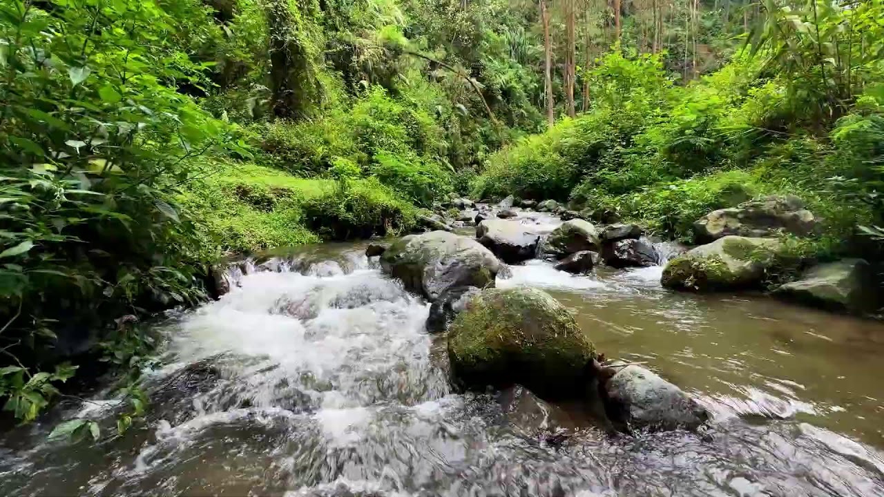 Relax your mind with natural river sound in calming forest stream to support deep restful sleep