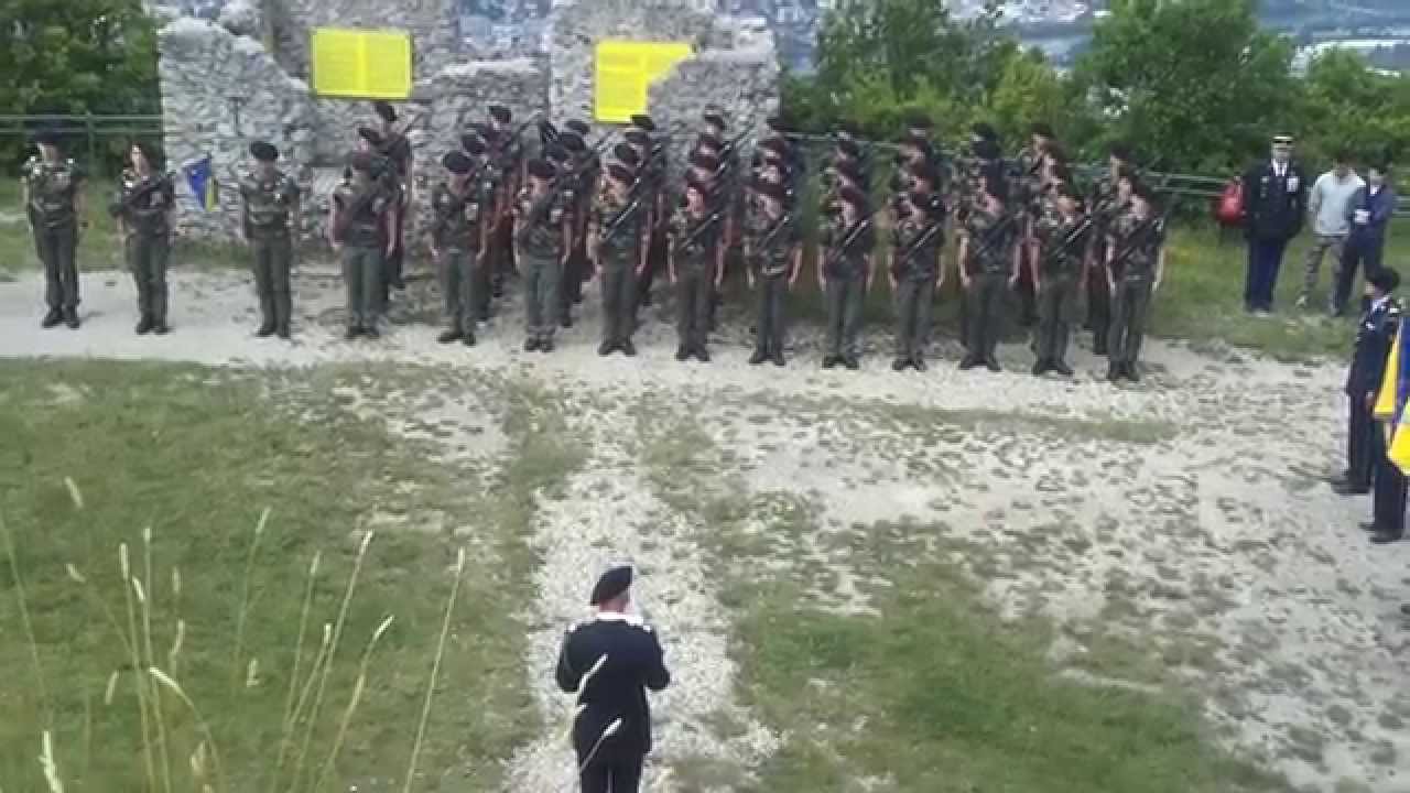 Cérémonie - Remise de la fourragère - 16 mai 2014 - 7 BCA