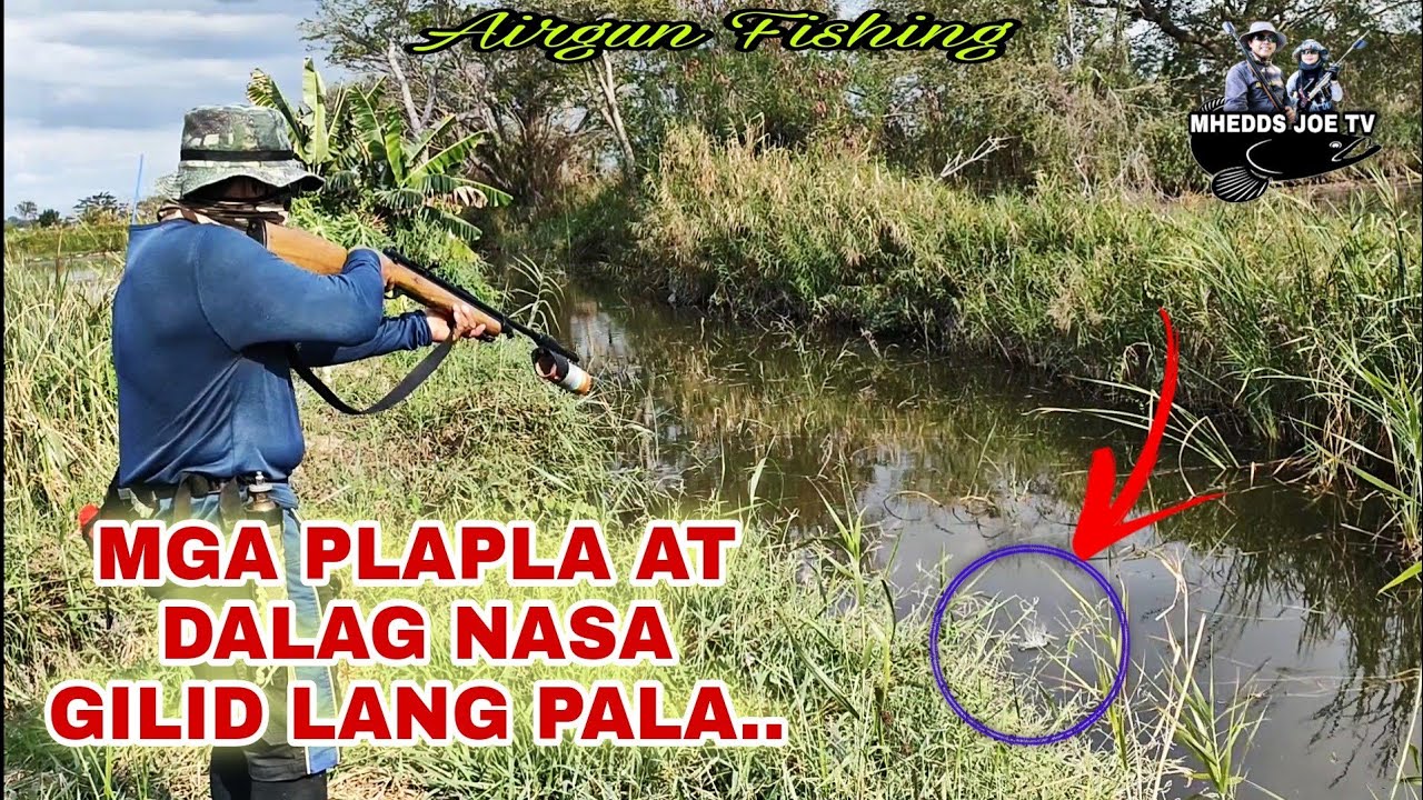 MGA PLAPLA AT DALAG NASA GILID LANG PALA/NAKASWERTE PA/AIRGUN FISHING/MHEDDS JOE TV/VLOG#185