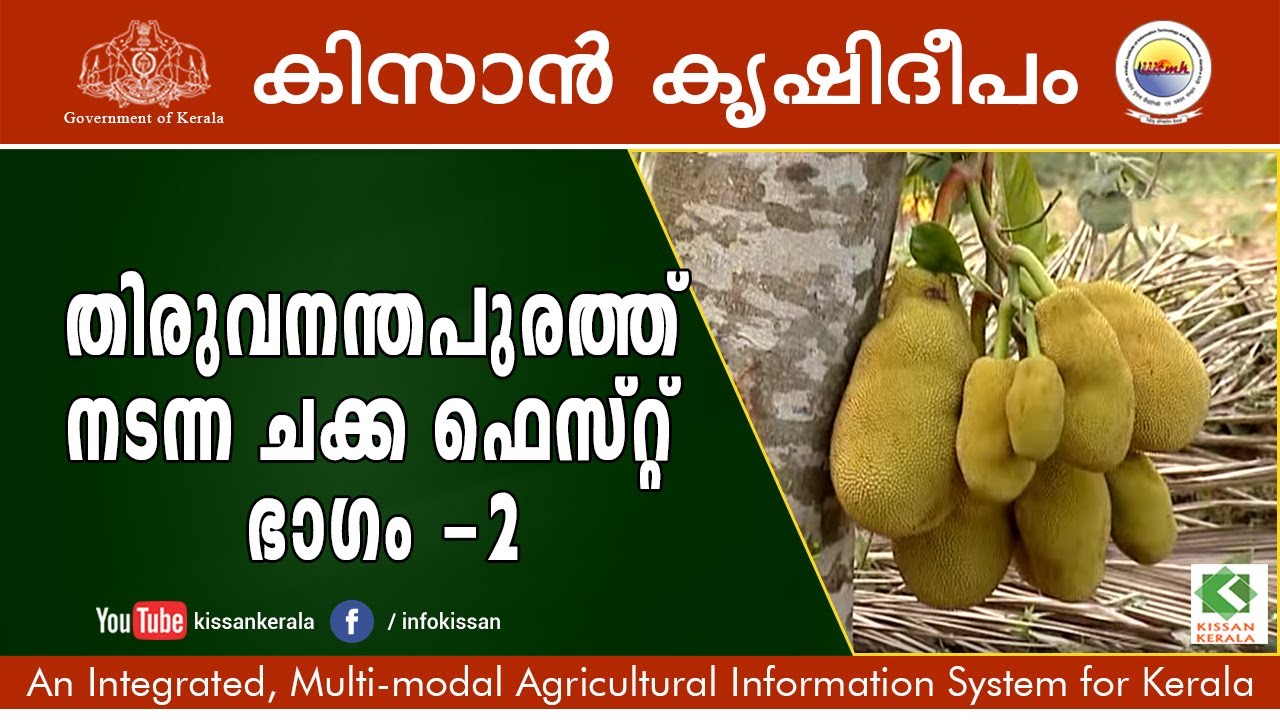 Jack Fruit Fest 2017 at Thiruvananthapuram Part - 2