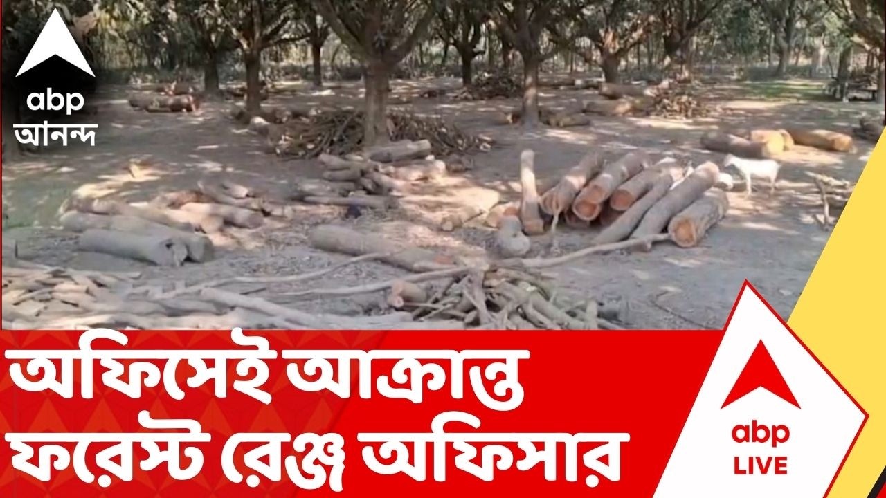 Malda News: মালদায় আক্রান্ত বন আধিকারিক! বেআইনি গাছ কাটার তদন্তে নাম, রেঞ্জ অফিসারকে মারধরের অভিযোগ