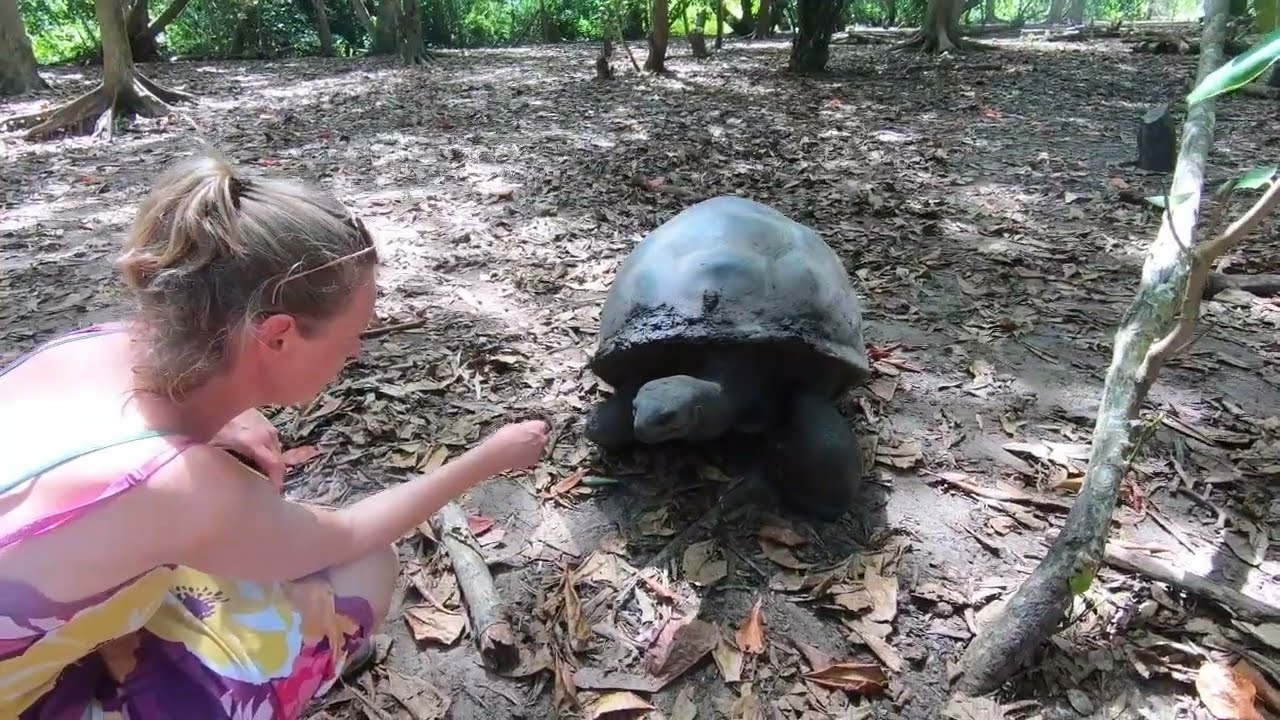 Guide to Seychelles. Curieuse Island. @robhoekstra9166