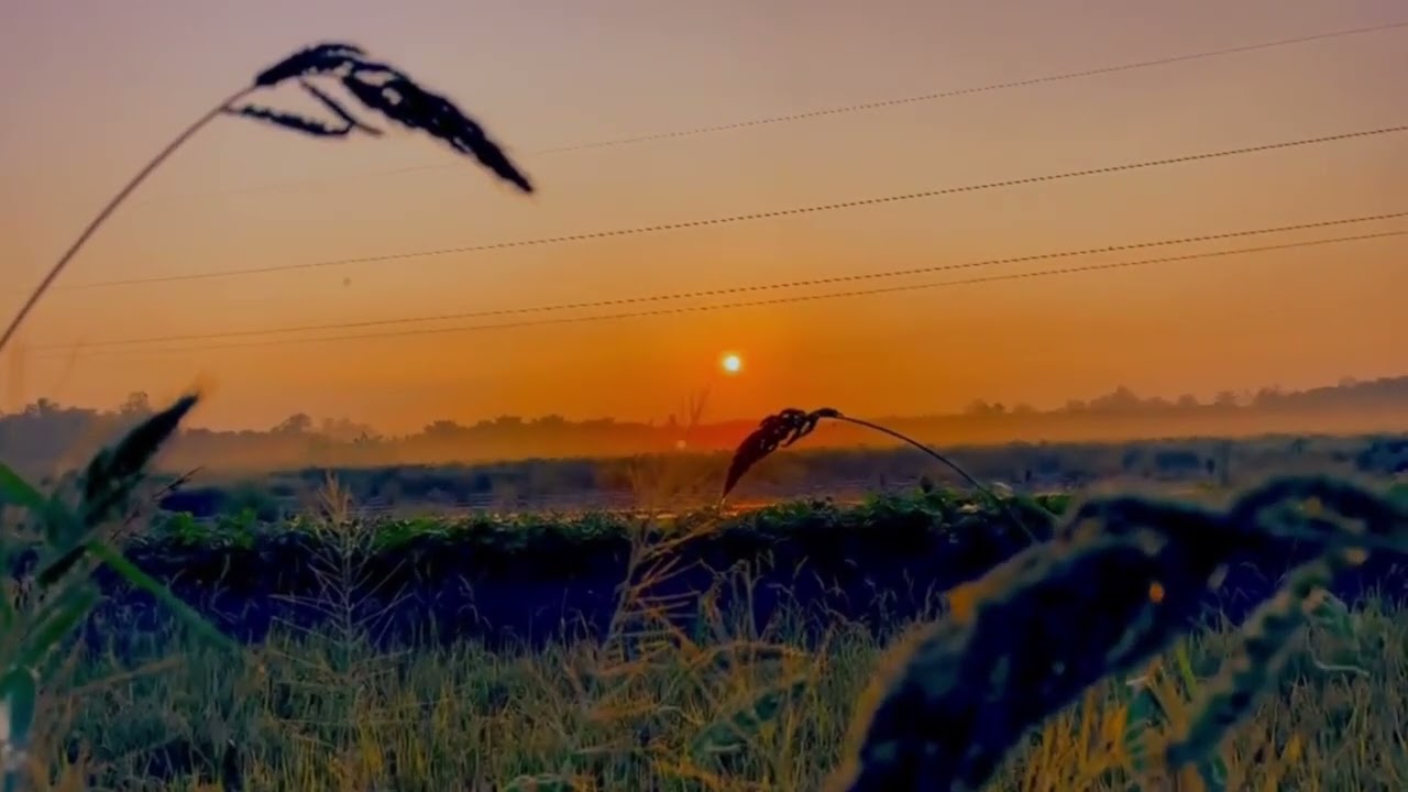 មុនគេងមកស្ដាប់ភ្លេងរំសាយអារម្មណ៍ (Relaxing Music)