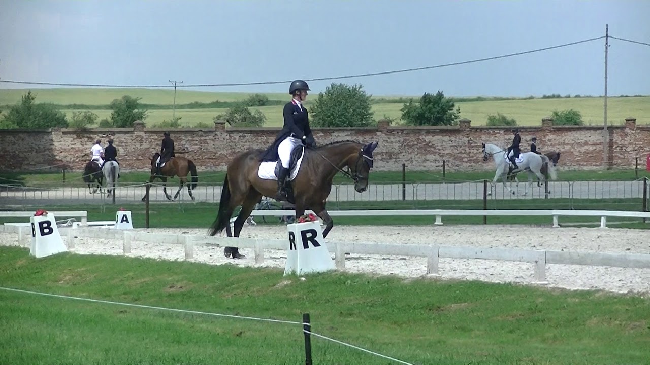 Costanza - Marta Dziak-Gierlicz - CCI 2*-S - Strzegom - 03.07.2020