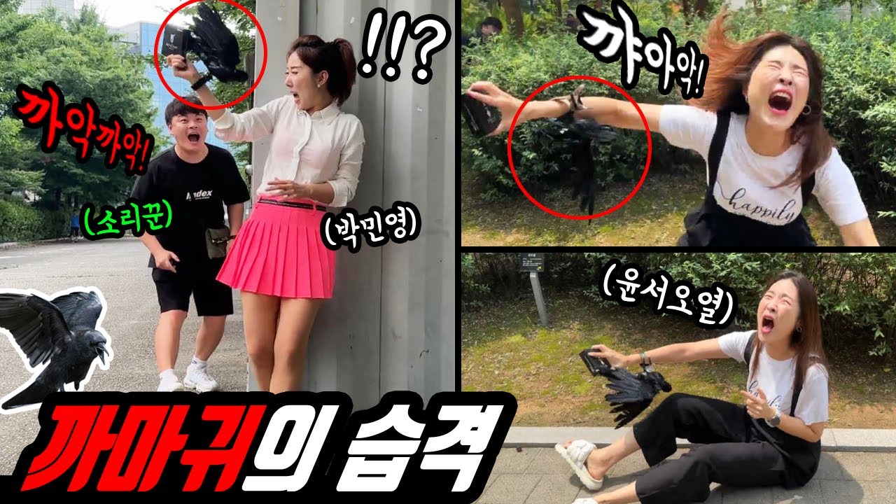 ENG) 미녀개그우먼 박민영 한윤서 까마귀 습격 ㅋㅋㅋ 믿고 보는 리액션 ㅋㅋㅋ (까마귀소리 몰카)