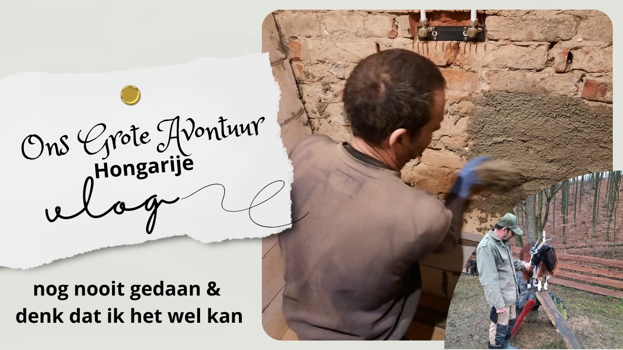Ook WIJ Hebben STRUGELS | wonen in Hongarije #456