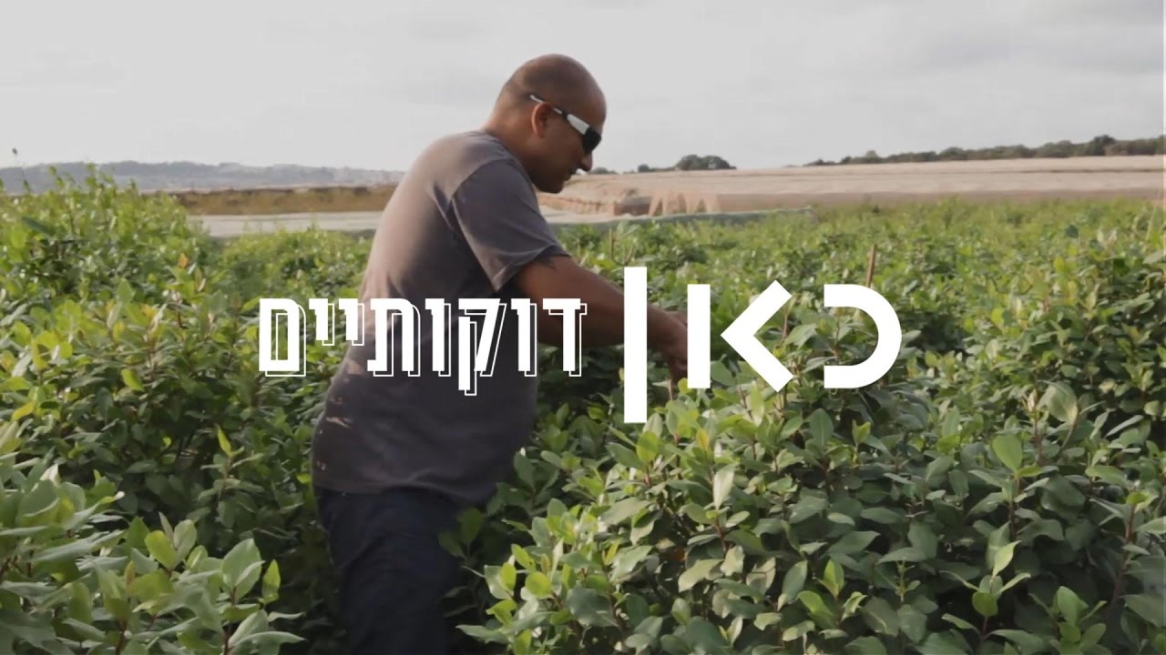 דוקותיים | יניב מדר והגת החבשי
