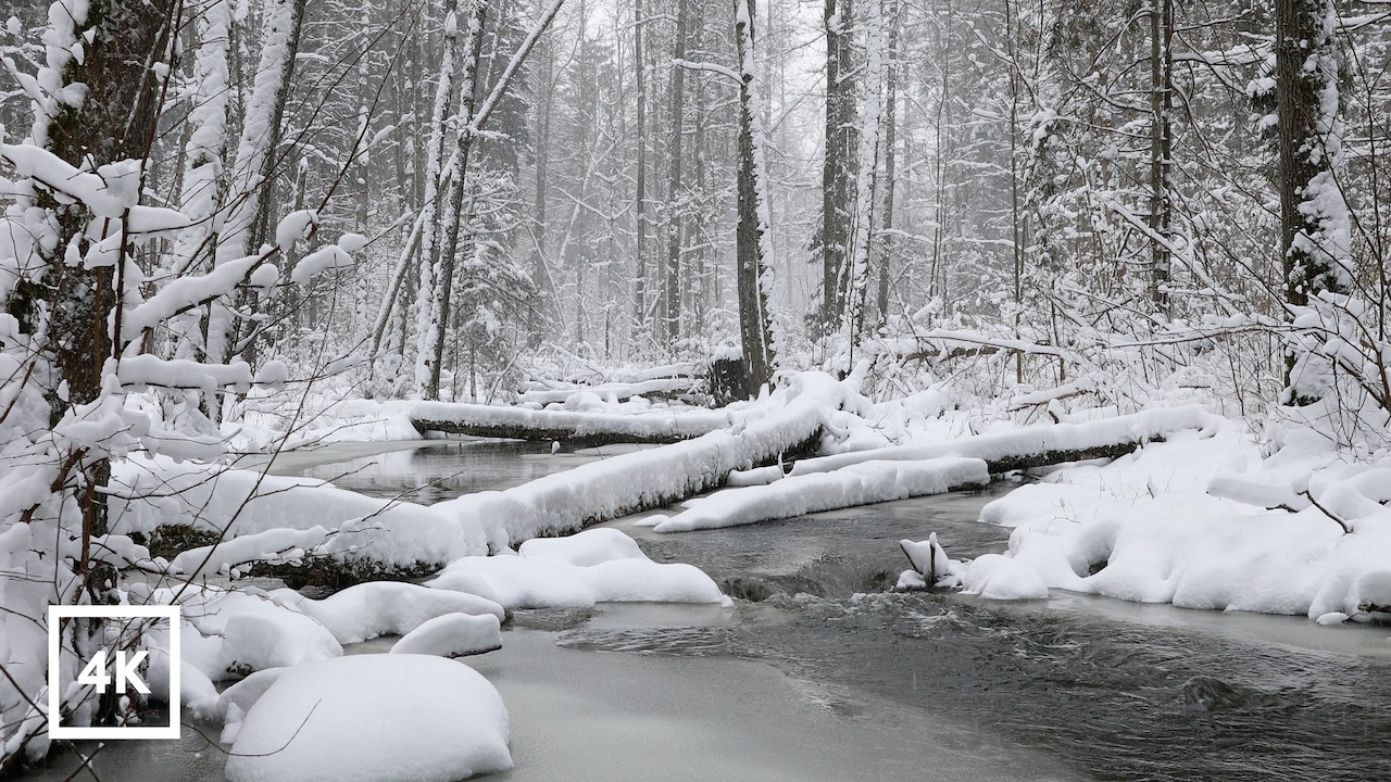 Soft Snowfall Over a Winter River | Natural Ambience