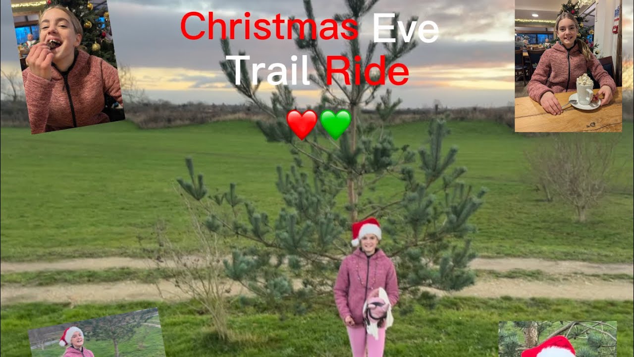 Конная прогулка в канун Рождества ❤️💚