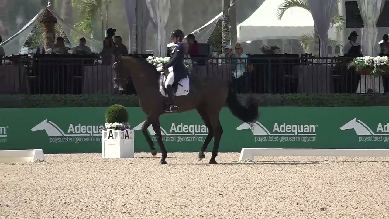 So Perfect & Tinne Silfven competition debut. Inter II, Wellington, January 2026