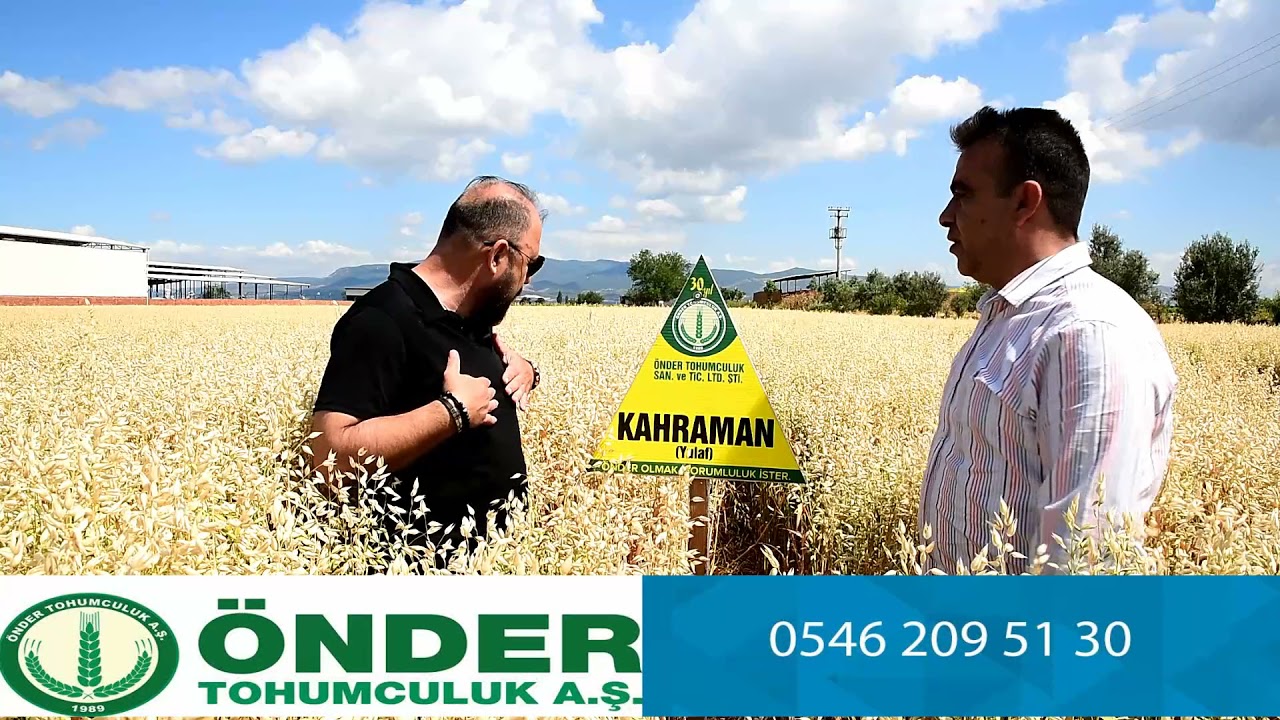 YULAF MANİSA TURGUTLU  KORKMAZ TARIM