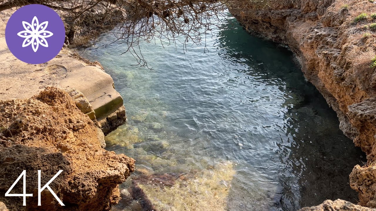 Walk in Alcanada (Alcudia Port Secret Calas) // Mallorca 4K