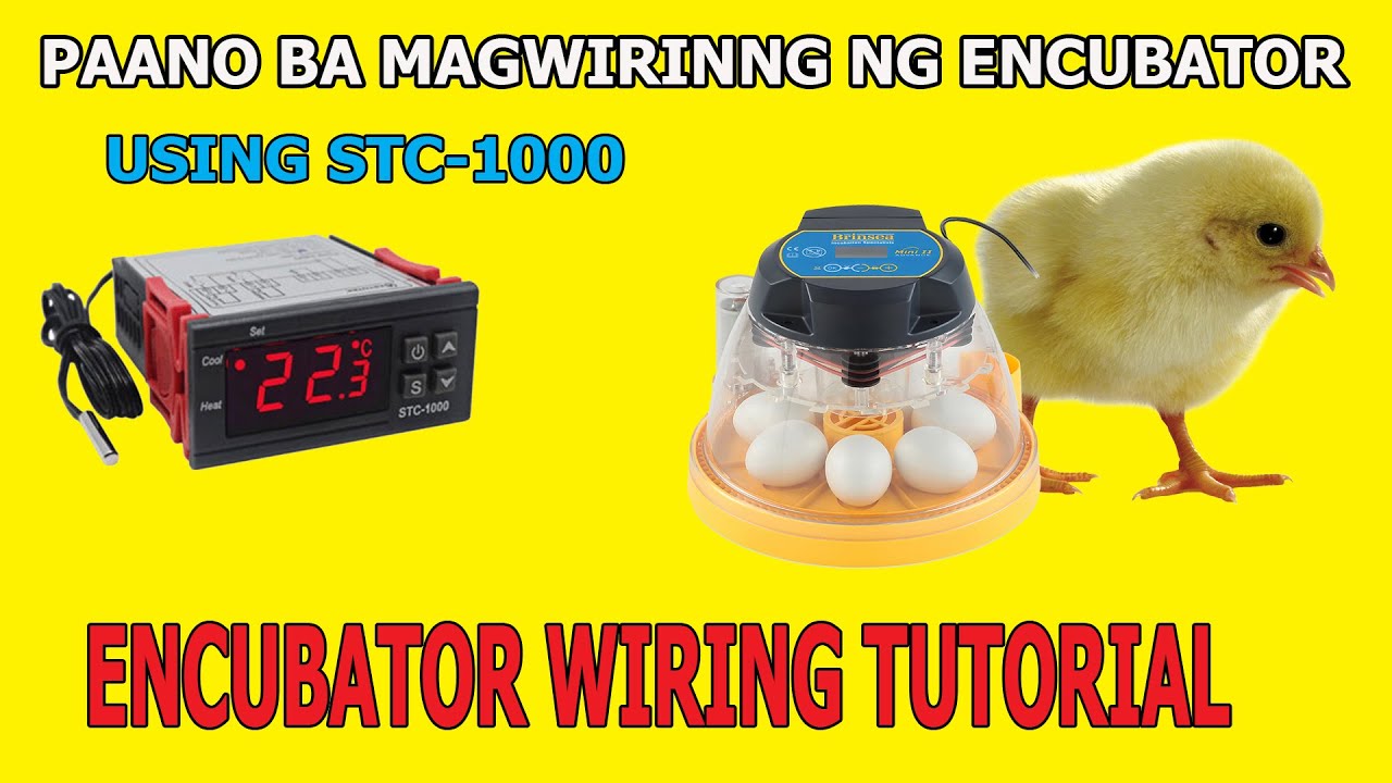 How to program STC-1000 DIGITAL Thermostat for Incubator