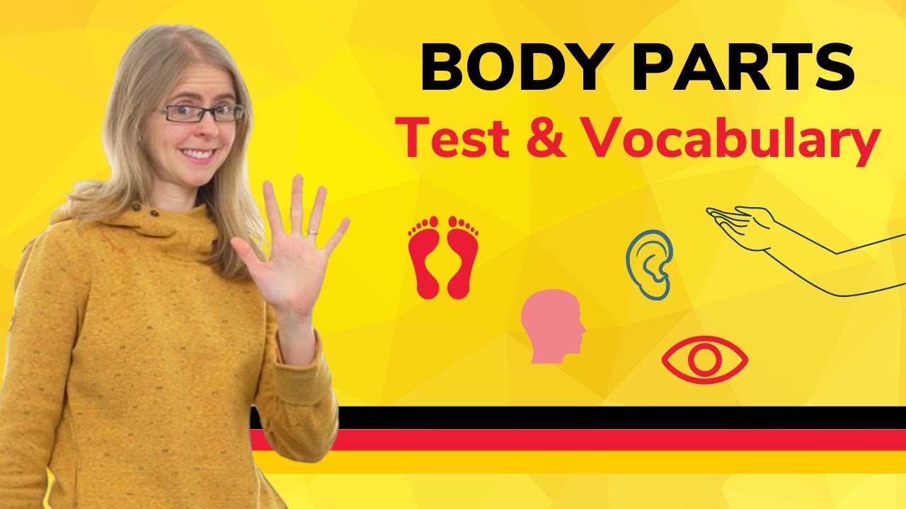 🌍 Day 55.1. Vocabulary test & exercise: Body parts *German to Go*
