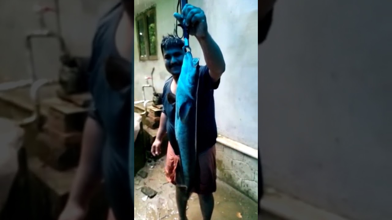 Fishing is fun…catching is better||fishing trend ||new|fish||fishing freak||