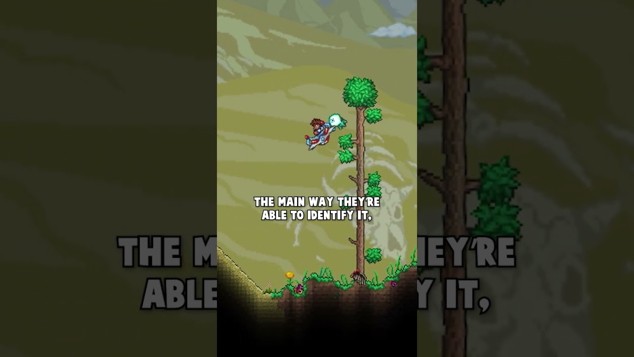 How Terraria Speedrunners Always Find The Underground Desert