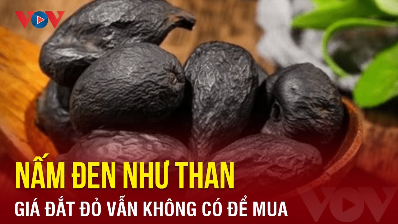 Nấm đen như than, gi&aacute; đắt đỏ vẫn kh&ocirc;ng c&oacute; để mua | B&aacute;o Điện tử VOV