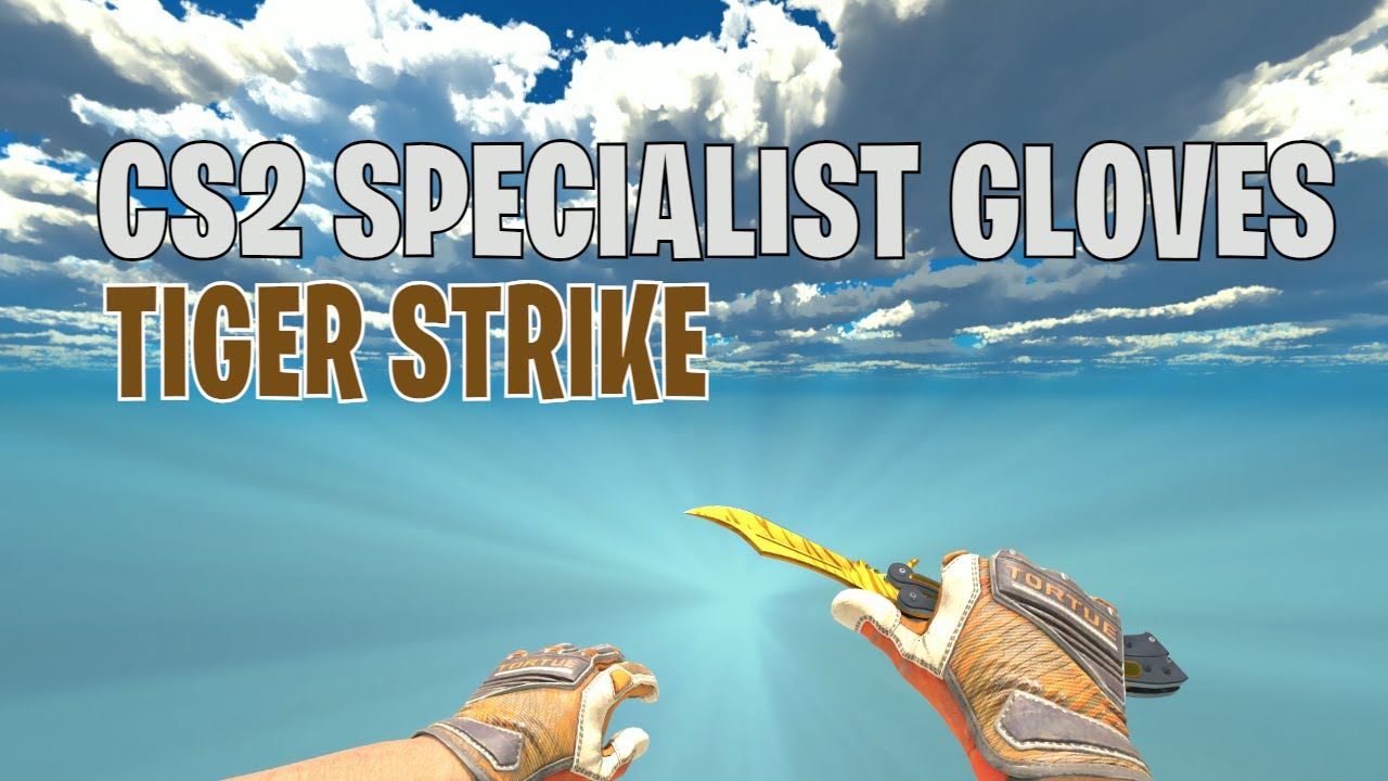 Specialist Gloves Tiger Strike Well-Worn | CS2 Skin Showcase #655