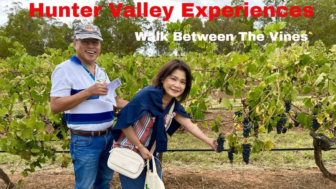 Hunter Valley Travel - Walk Between the Vines & Wine Tasting