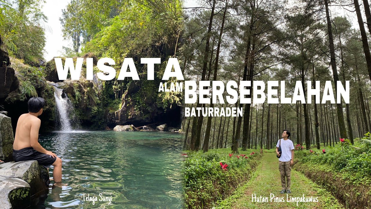 WISATA ALAM BERSEBELAHAN DI BANYUMAS | Kesejukan Hutan Pinus Limpakuwus & Kesegaran Telaga Sunyi #5