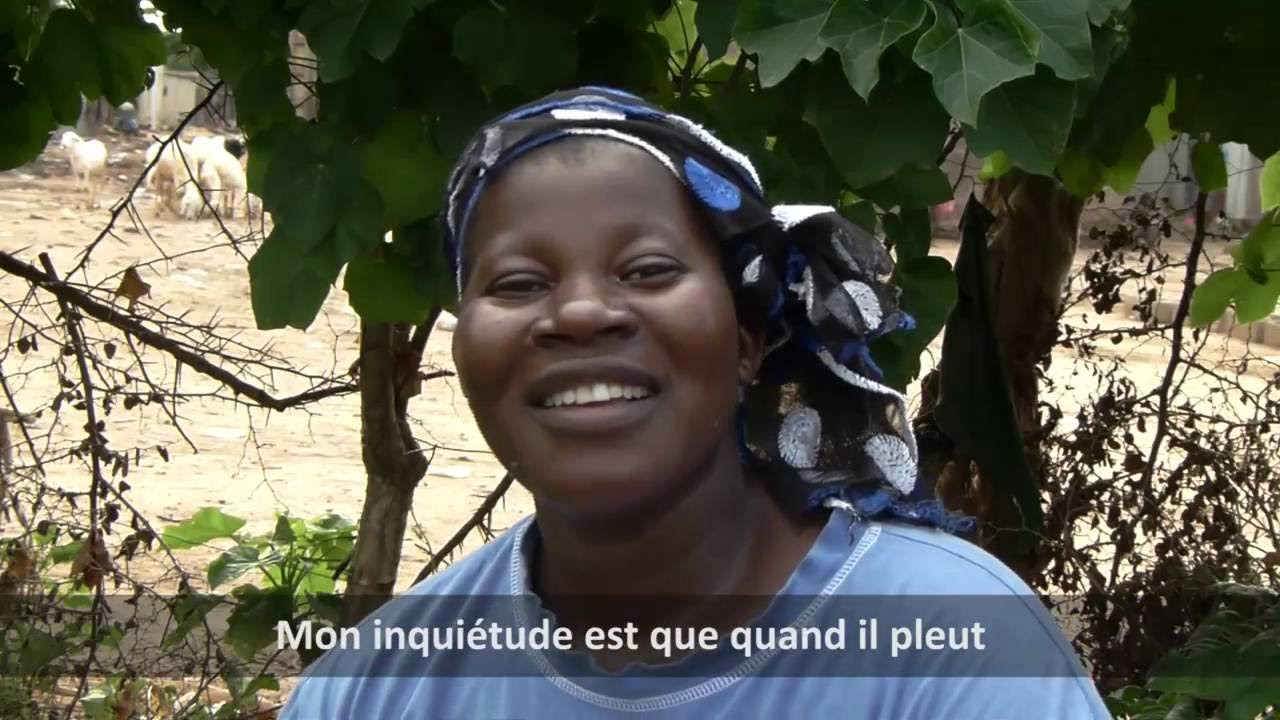 Pollution du fleuve Niger 2