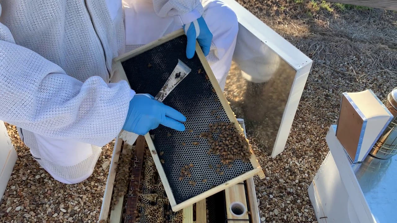 When to add a honey super