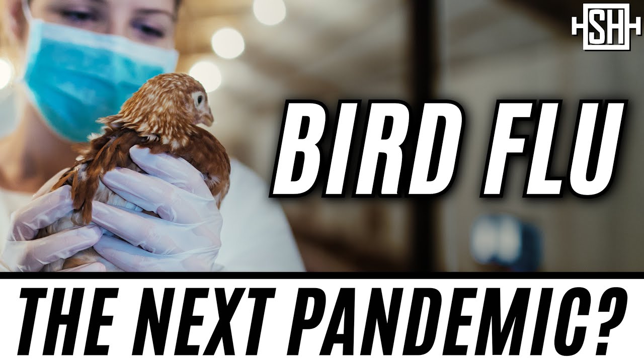 I looked at the recent bird flu data, and now I'm really scared.