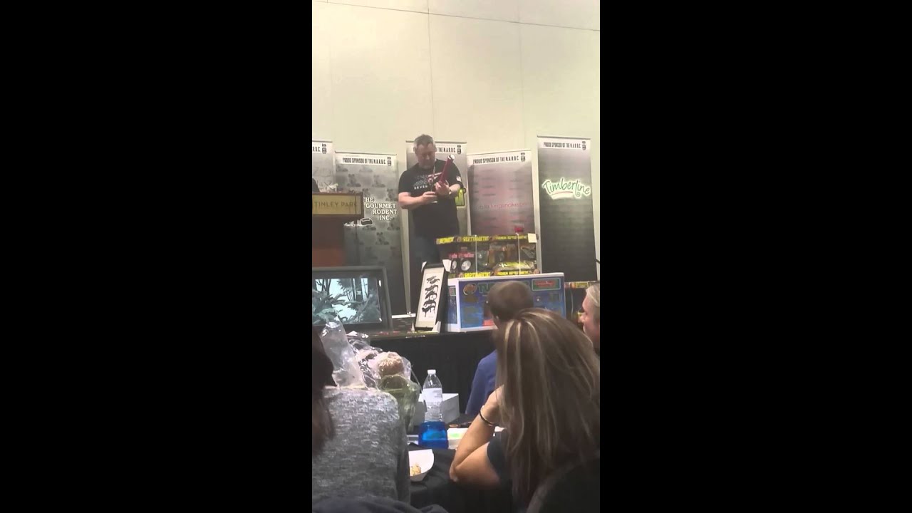 Confetti cannon fail