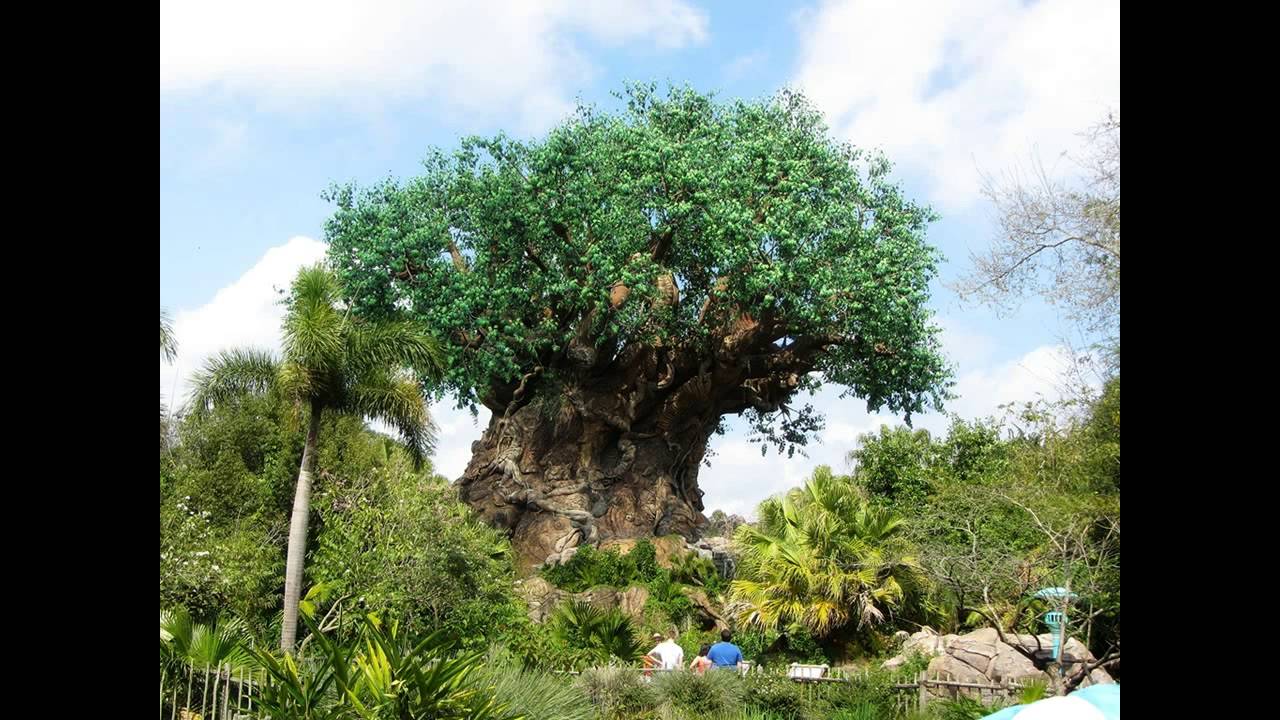 Tree of Life Area Loop