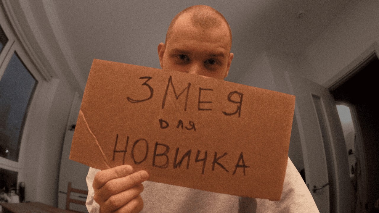 Идеальная змея для новичка: мой поход в зоомагазин | VLOG