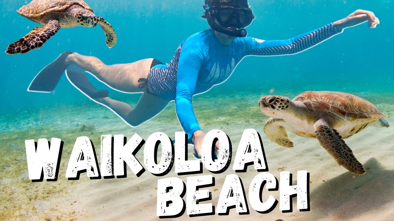 I FOUND A VENOMOUS FISH! | Waikoloa Beach, Big Island | Best Snorkel Spots Hawaii
