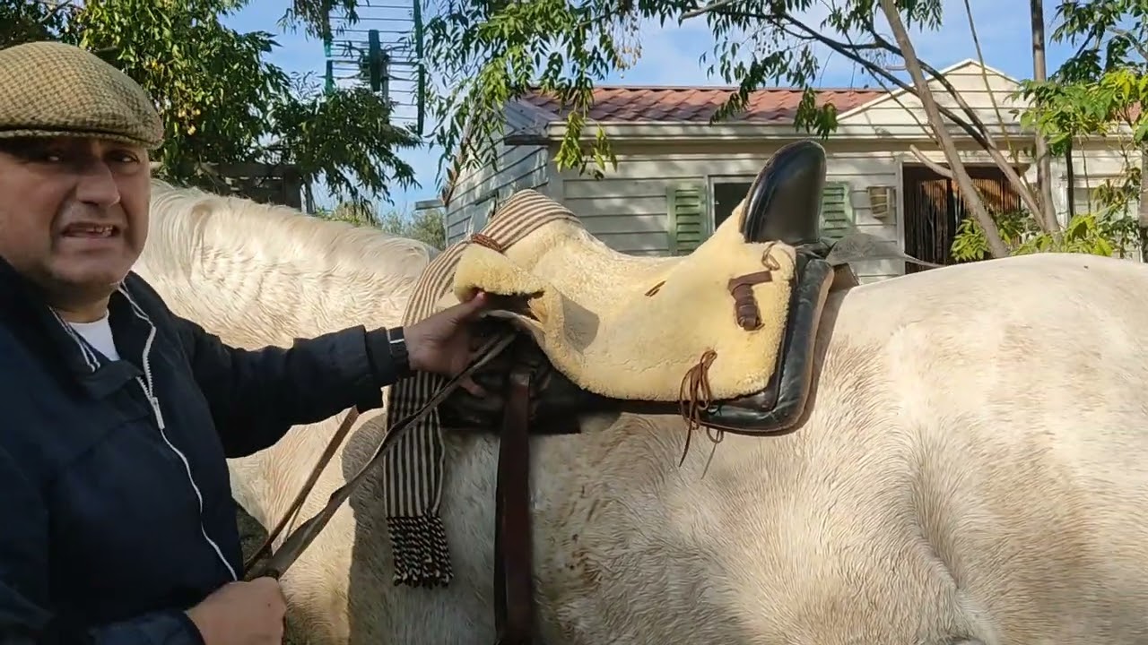 MI CABALLO TIENE UNA MONTURA ESPECIAL......