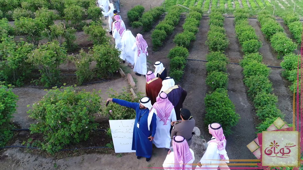 مزارع كوبان (مهرجان الورد الثالث بمحافظة ميسان قرية الحراء)