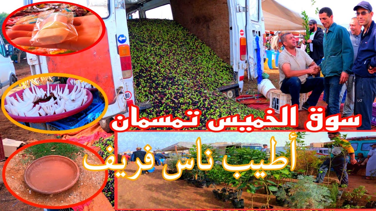 يوجد سوق خميس تمسمان في قبيلة تمسمان التي تنتمي إلى إقليم الدريوش20،23