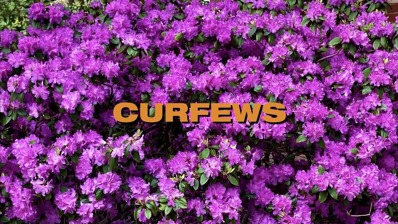 Curfews (Official Music Video)