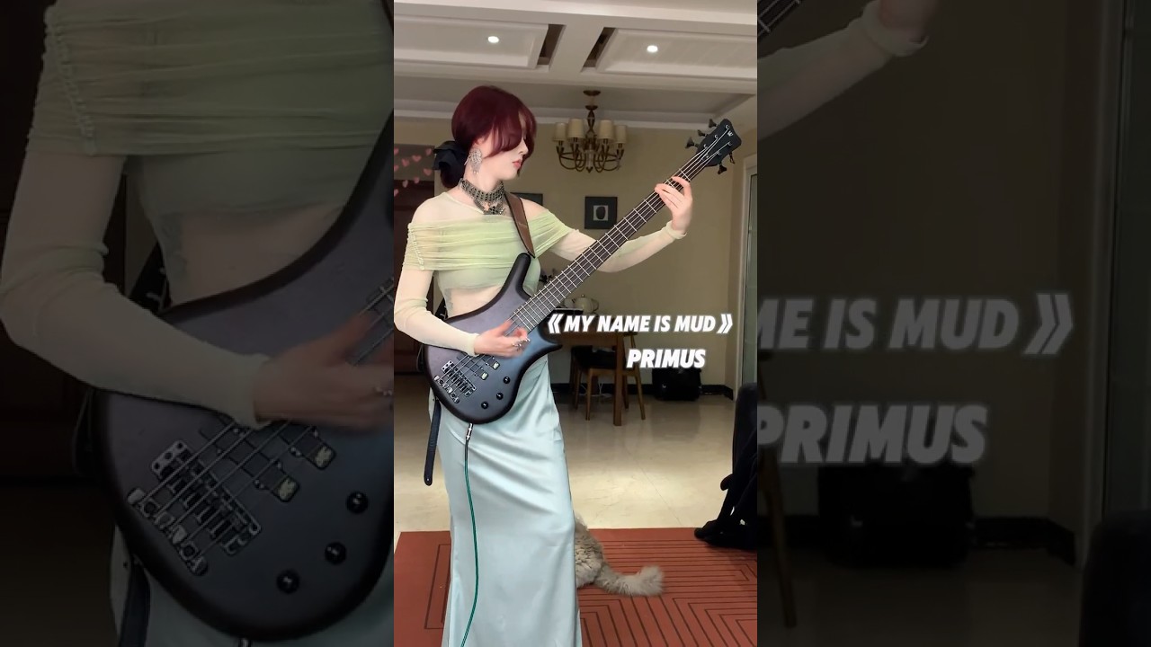 Primus 《My Name Is Mud》bass cover