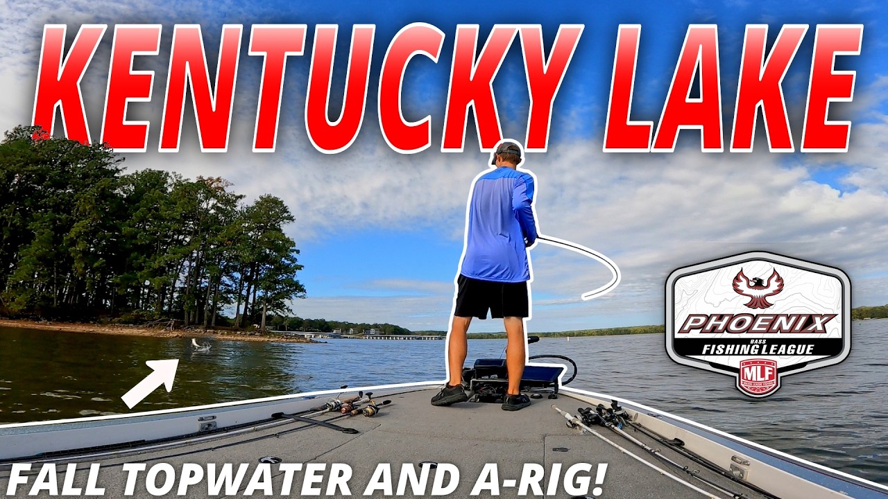 Осенняя рыбалка на мушки TOPWATER и A-RIG на озере Кентукки!
