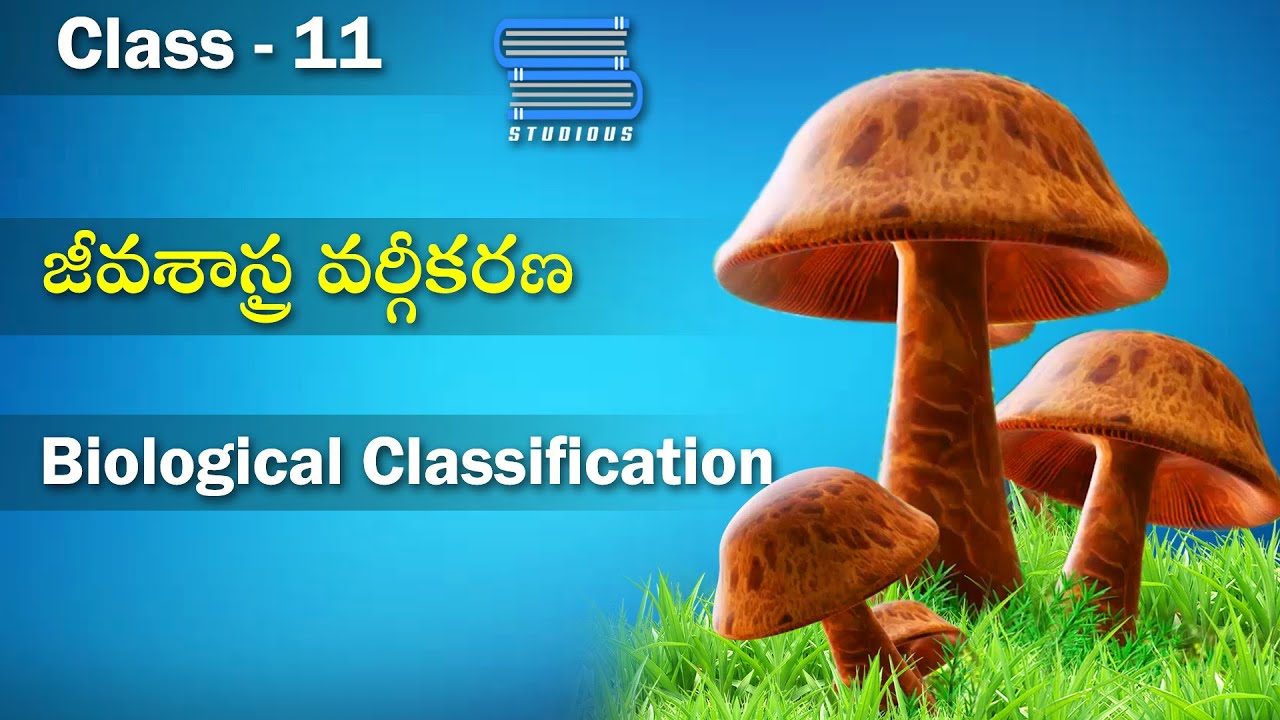 జీవశాస్త్ర వర్గీకరణ - 2 | Biological Classification -2 | Protista Fungi Plantae | Biology Class11