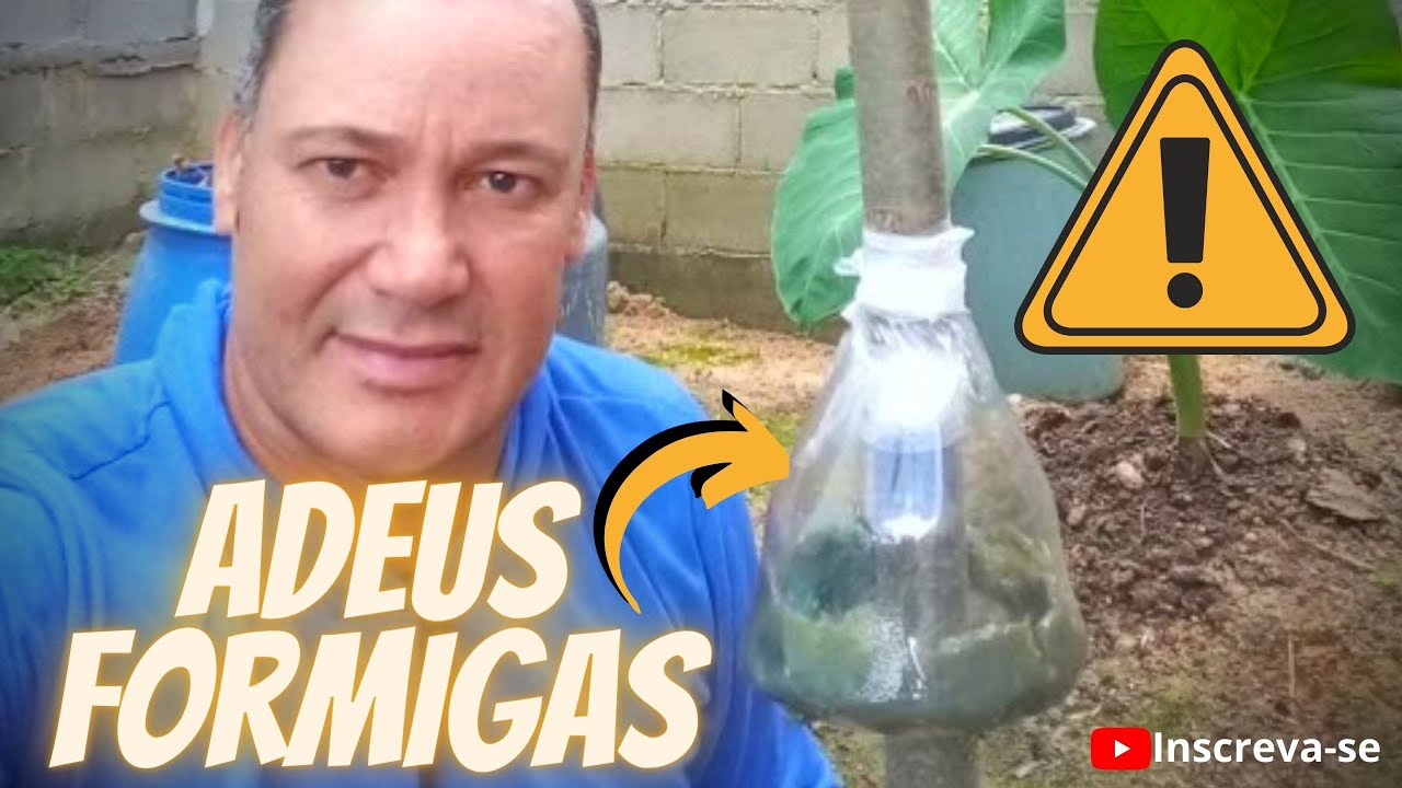 FORMIGAS NAS PLANTAS NUNCA MAIS, SOLUÇÃO SIMPLES QUE RESOLVE - ARMADILHA PARA FORMIGA.