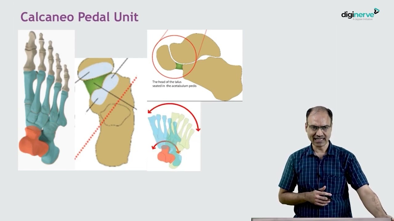 Understanding CTEV: Definition, Etiopathology, Features & Investigations | Dr Hitesh Shah