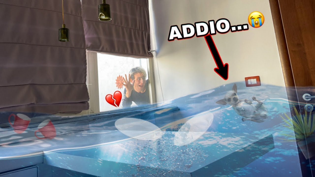 LASCIAMO IL NOSTRO CAGNOLINO IN UNA CASA ALLAGATA!! *è piena d'acqua*