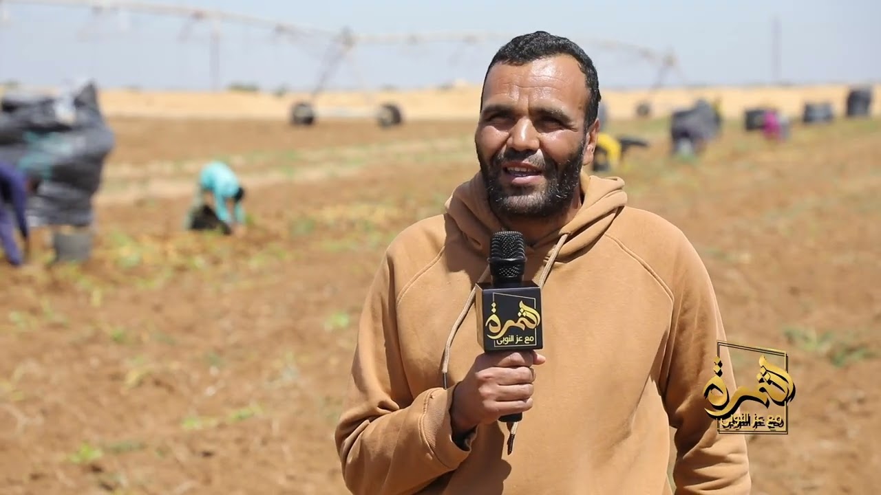 من الزراعة إلى الحصاد 🥔 رحلة زراعة البطاطس داخل المزرعة