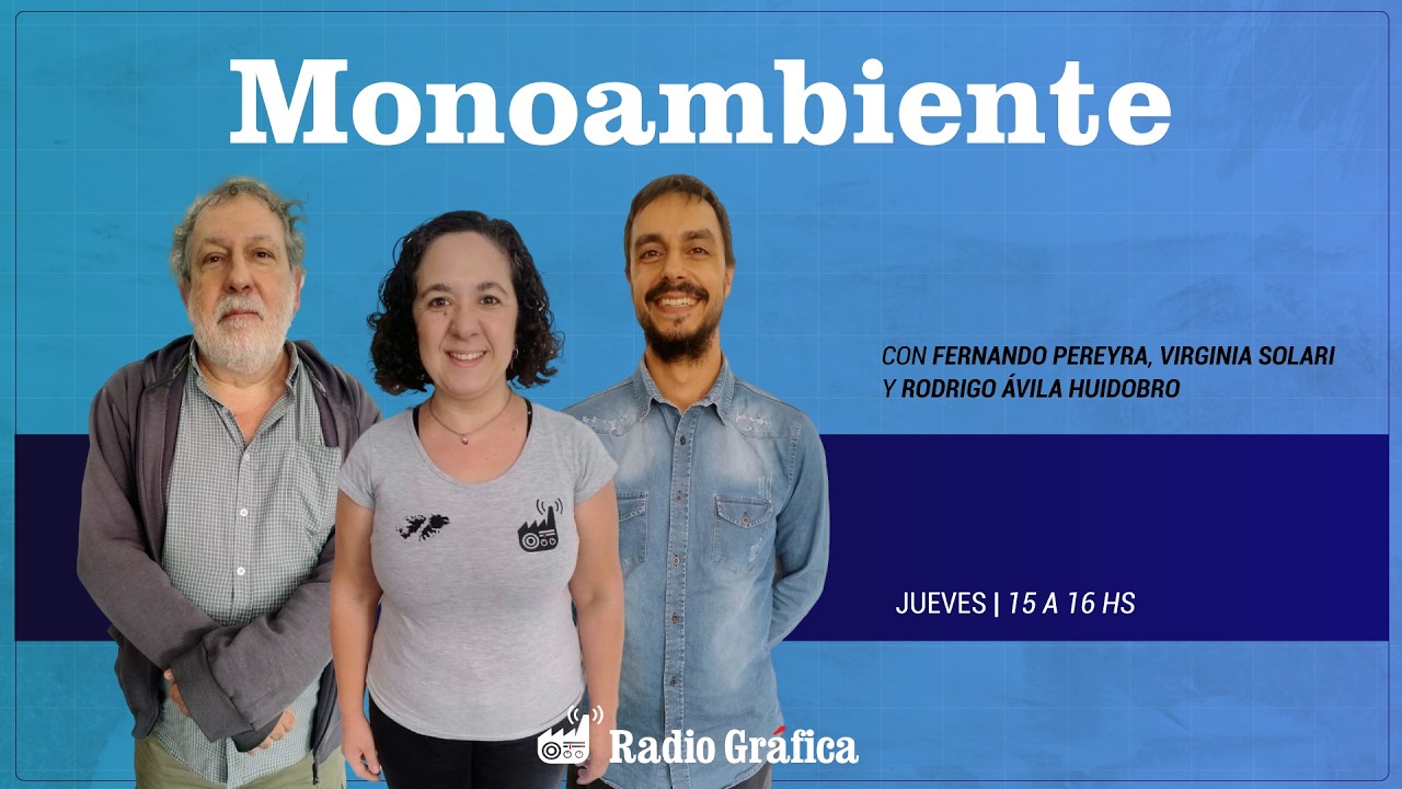Monoambiente EN VIVO || en Radio Gráfica