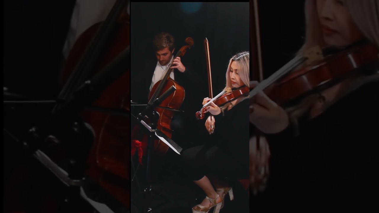 Eine Kleine Nachtmusik | SpeechLess Music 