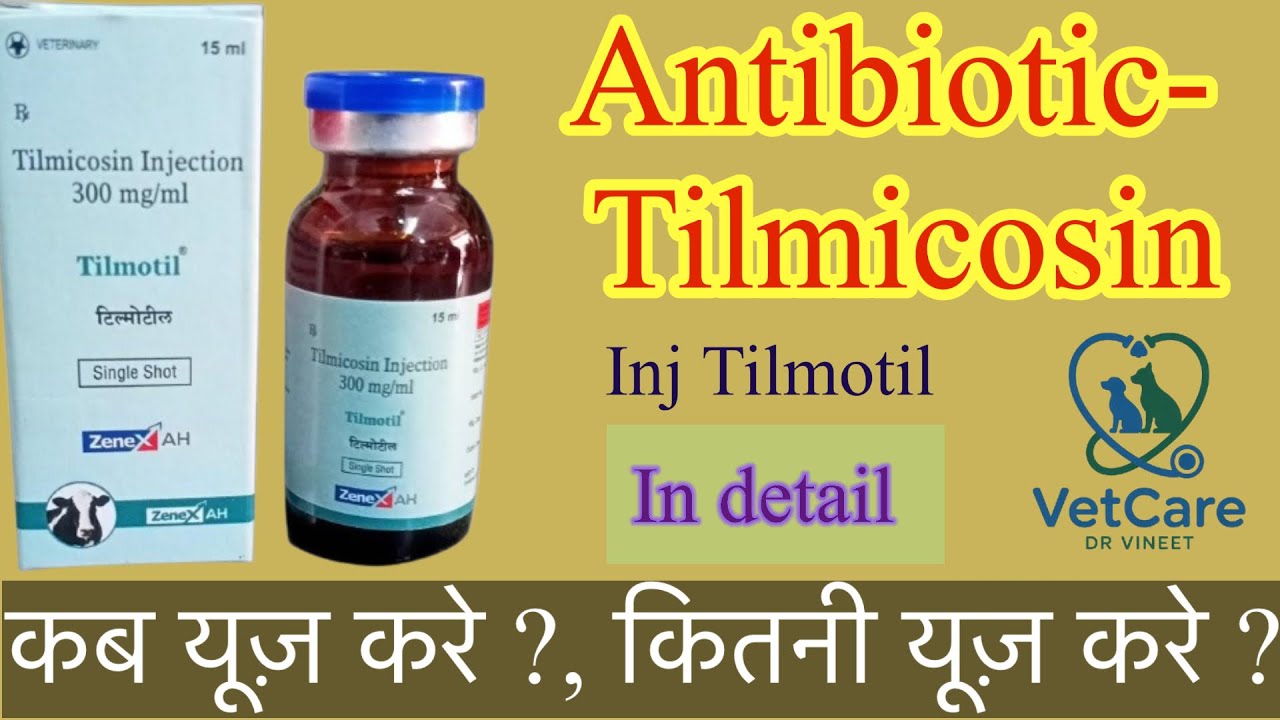 Tilmicosin Antibiotic| Inj. Tilmotil | टेलमोटिल इंजेक्शन की फुल जानकारी | 