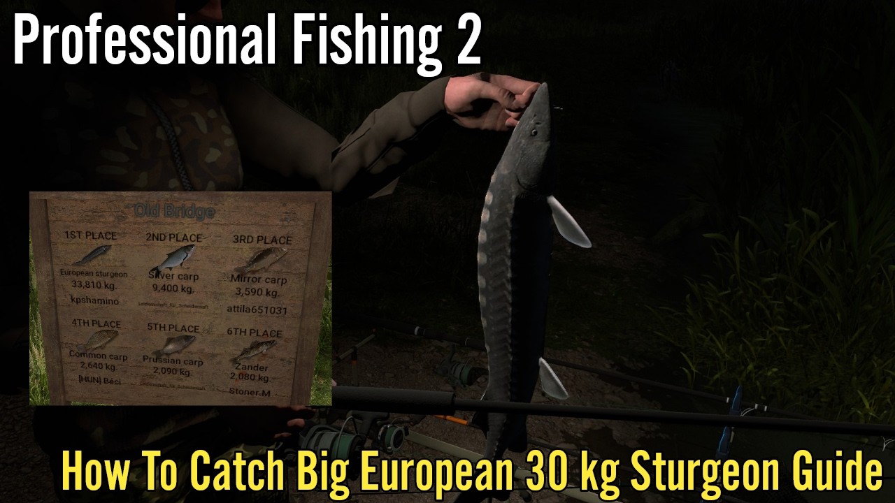 Professional Fishing 2, How To Catch Big European 30 kg Sturgeon Guide