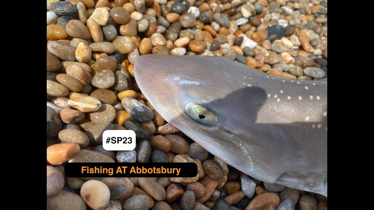 Fishing AT Abbotsbury on the Chesil Beach - Mid week session on the big beach 11/7/24
