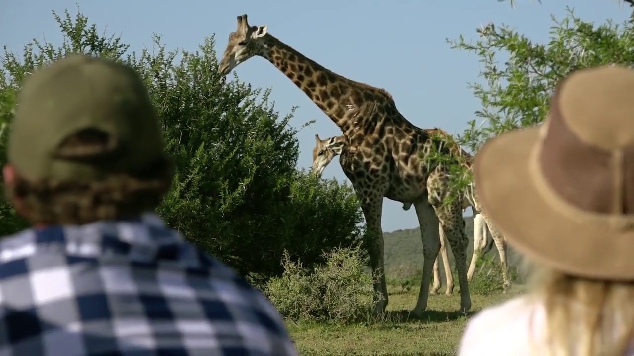 Our Story - Shamwari Private Game Reserve